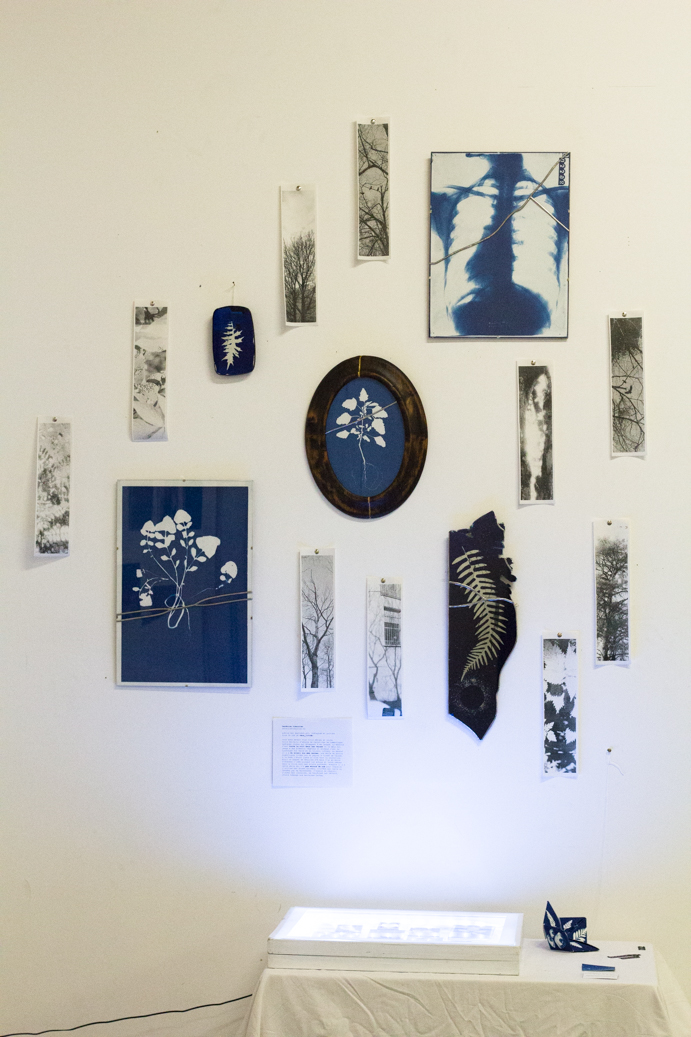 a view of a white wall with my arts on it : cyanotypes on paper and mirrors, black and white prints on long thin papers