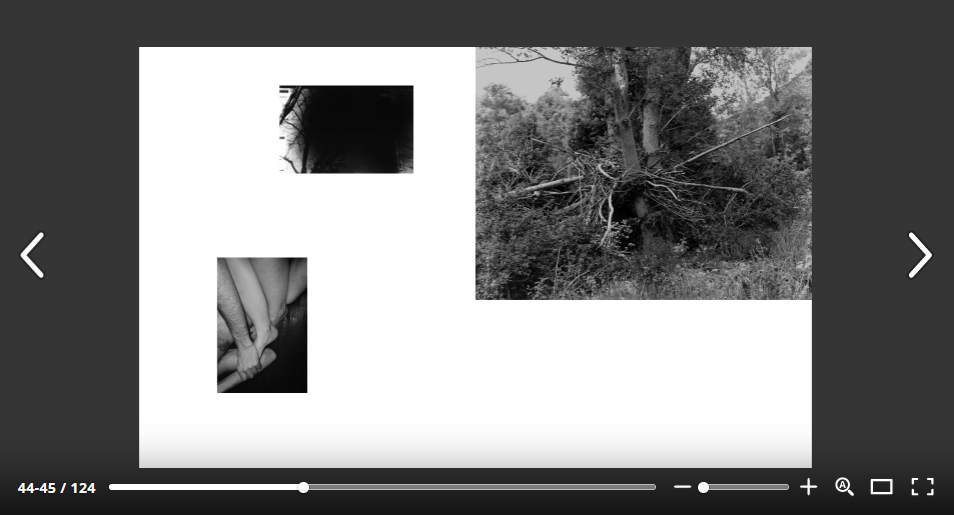 View of the digital version of Revue Feu