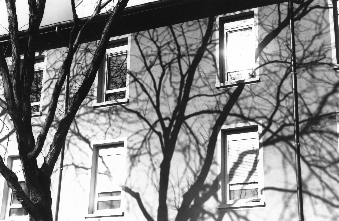 One of my photo for Revue Feu